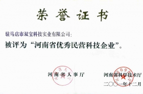 河南省优秀民营科技企业证书